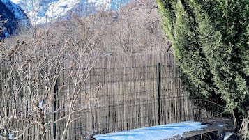 Sneeuw- en skisporten