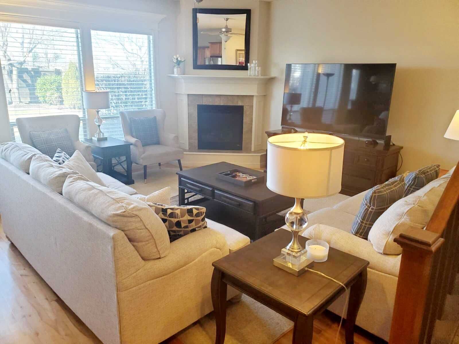 TV connectée, cheminée, lecteur de DVD, livres