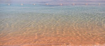 Avslappende moro i solen. Nyt et lite stykke jamaicansk juvel i sikkerhet 