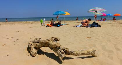 Organic holidays between Sea and Mountains of Abruzzo AApp. "IL SOLE"