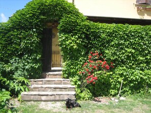 تفاصيل الفندق من الخارج