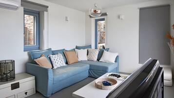 Smart TV, fireplace, DVD player, music library