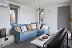 Smart TV, fireplace, DVD player, music library