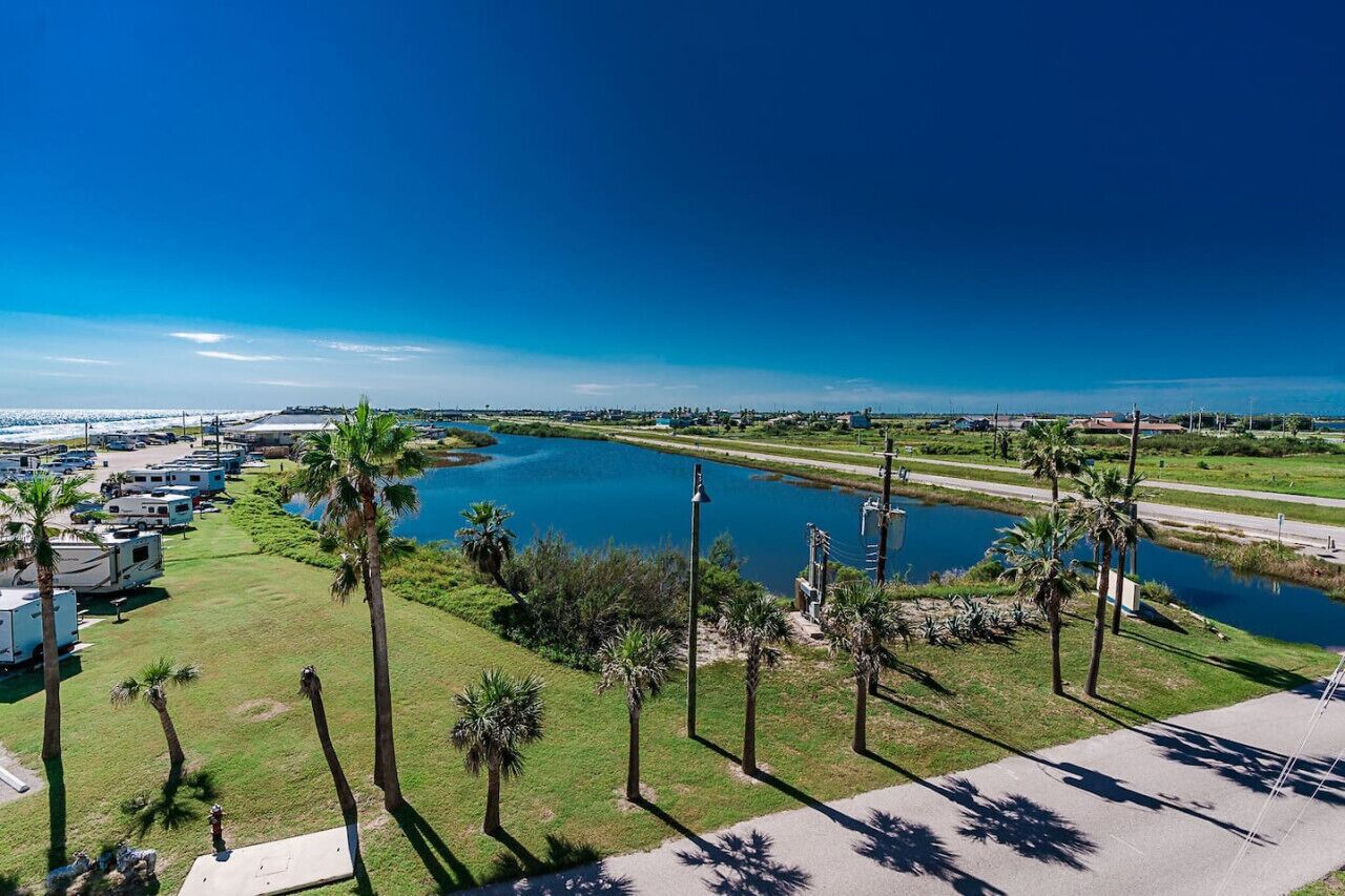 A marina with RVs, a calm lake, and palm trees.