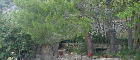 Overnattingsstedets uteområder