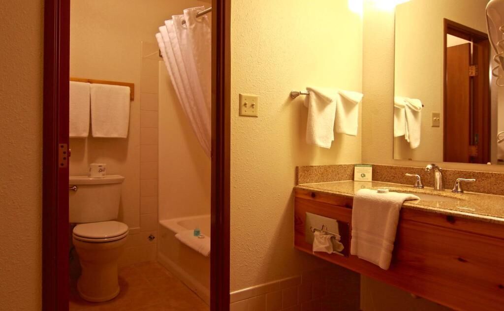 combined shower/bathtub, rainfall showerhead, free toiletries