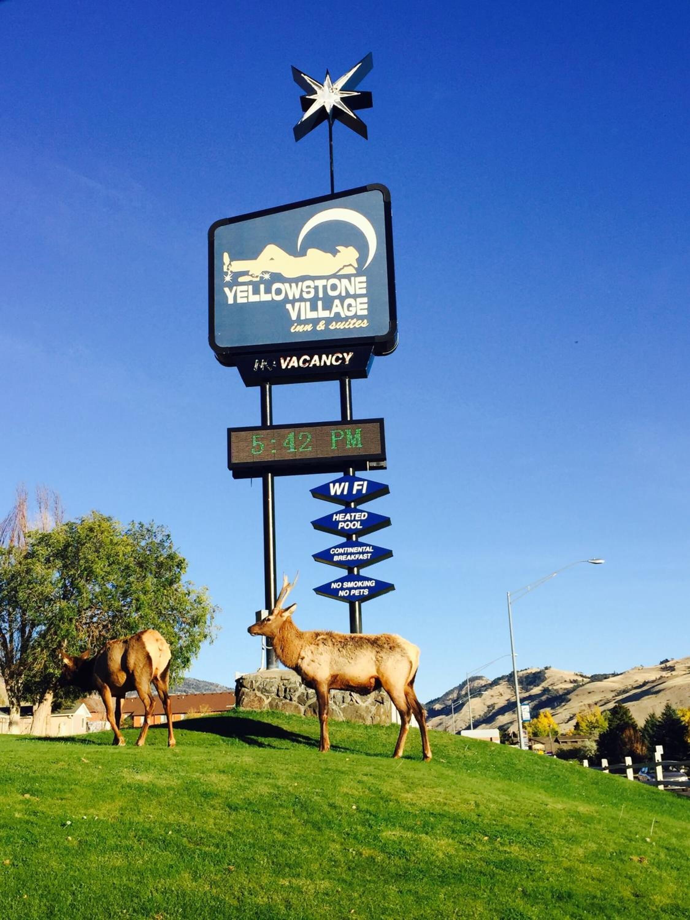 A sign for Yellowstone Village Inn & Suites with a vacancy notice, WiFi, heated pool, continental breakfast, and no smoking/no pets policy.