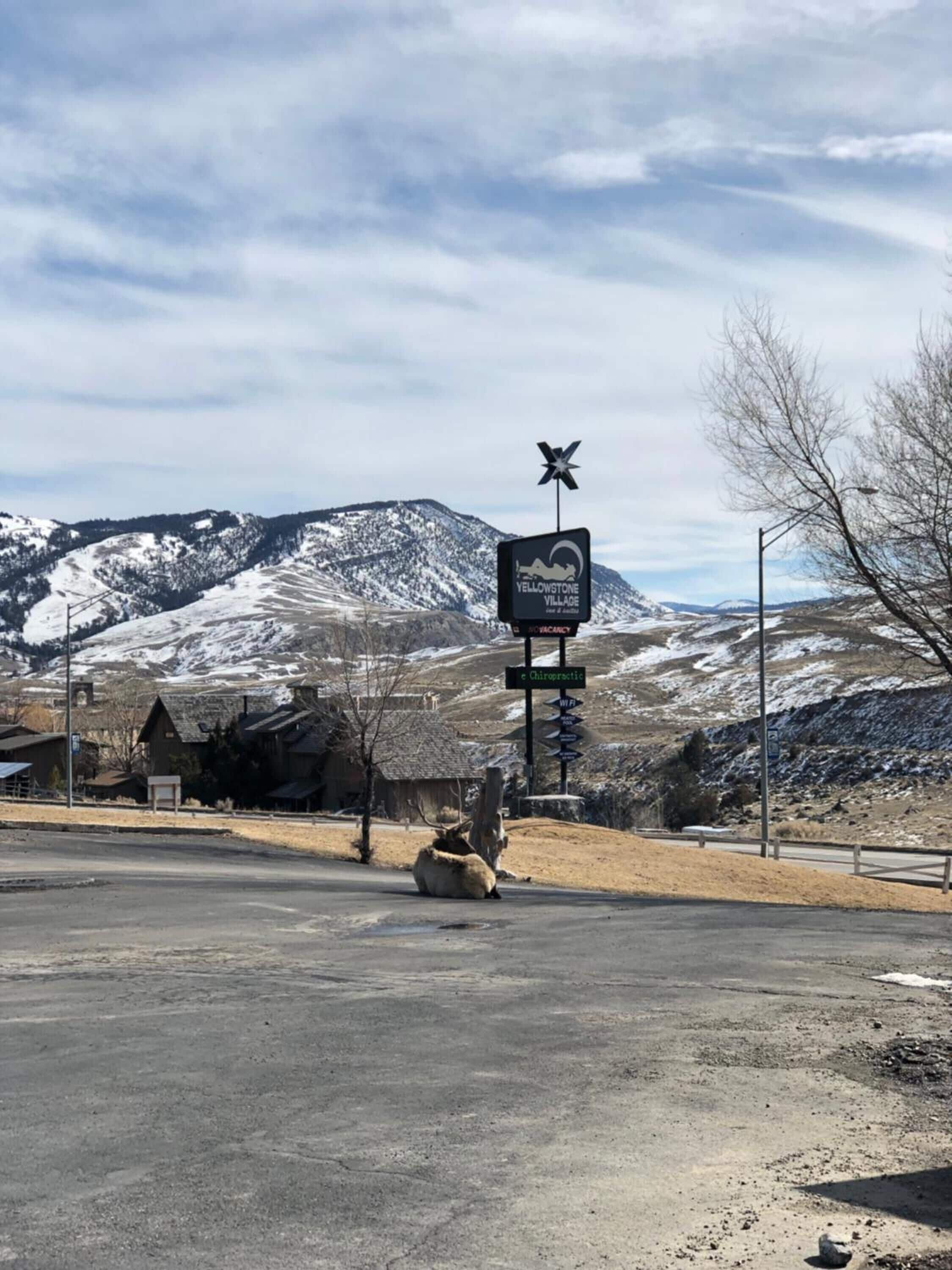 A sign for Yellowstone Village with a star symbol, a chiropractor sign, and a Wi-Fi sign.