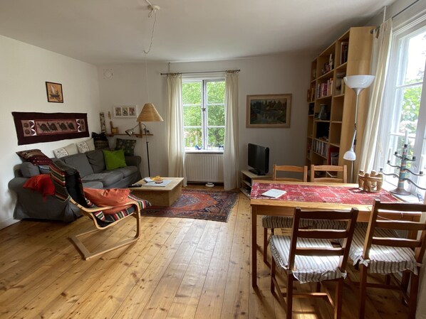 TV, fireplace, DVD player, ping pong