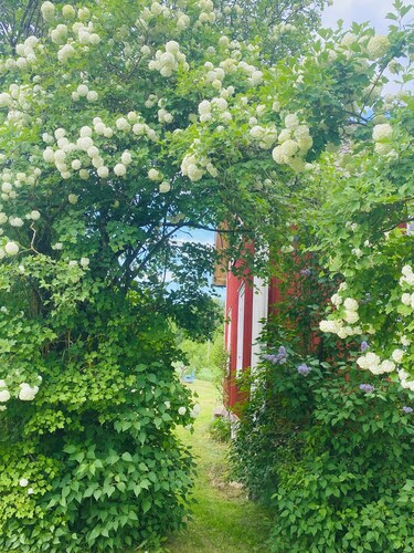 Holidays like in Bullerbü 