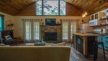 TV connectée, cheminée, lecteur de DVD, livres