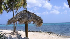 A beach with white lounge chairs, a thatched umbrella, and a palm tree. - No Shirt, No Shoes, No Steps.  Visit Easy Street In St. Croix! (Christiansted)