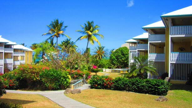 A resort with multiple-story buildings, palm trees, and well-maintained gardens. - No Shirt, No Shoes, No Steps.  Visit Easy Street In St. Croix! (Christiansted)
