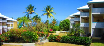 No Shirt, No Shoes, No Steps.  Visit Easy Street In St. Croix!