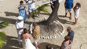 A beachside gathering with people and a palm tree. - No Shirt, No Shoes, No Steps.  Visit Easy Street In St. Croix! (Christiansted)