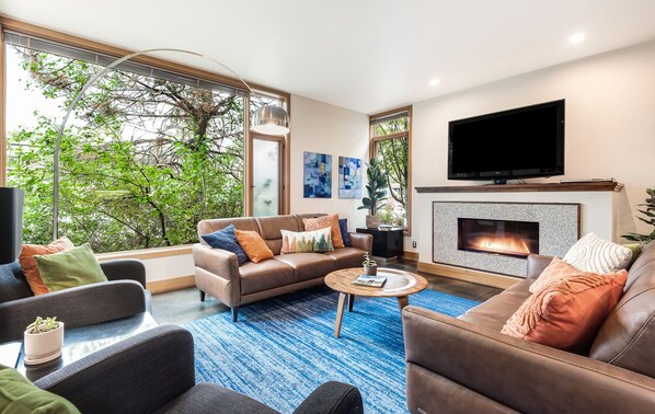 Smart TV, fireplace, books, stereo