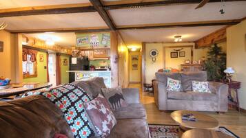 Smart TV, caminetto, lettore DVD, libri