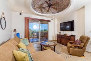 Taulutelevisio, kirjoja