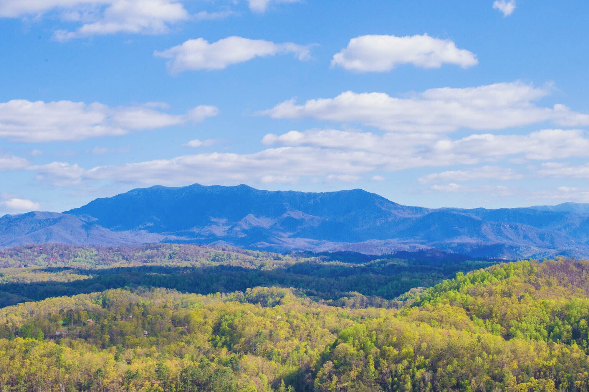 A mountainous landscape with a forested valley.