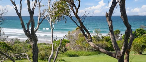 Una playa cerca