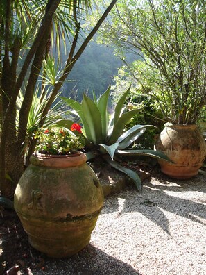 Áreas de la propiedad