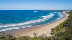 Un paisaje costero con una playa arenosa, olas del océano y vegetación densa.