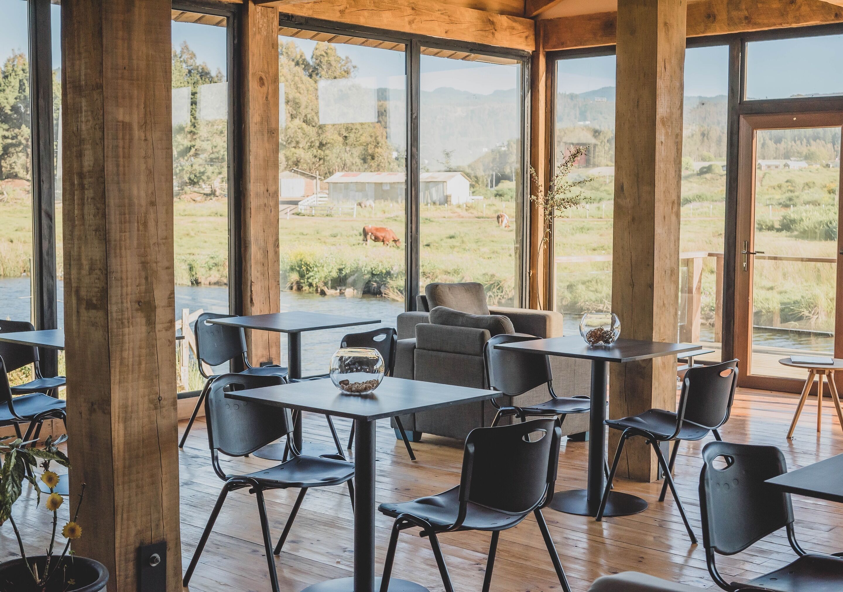 Un amplio espacio de comedor al aire libre con mesas de madera y sillas negras, ventanas grandes que ofrecen vistas a un campo cubierto de césped y edificios lejanos.