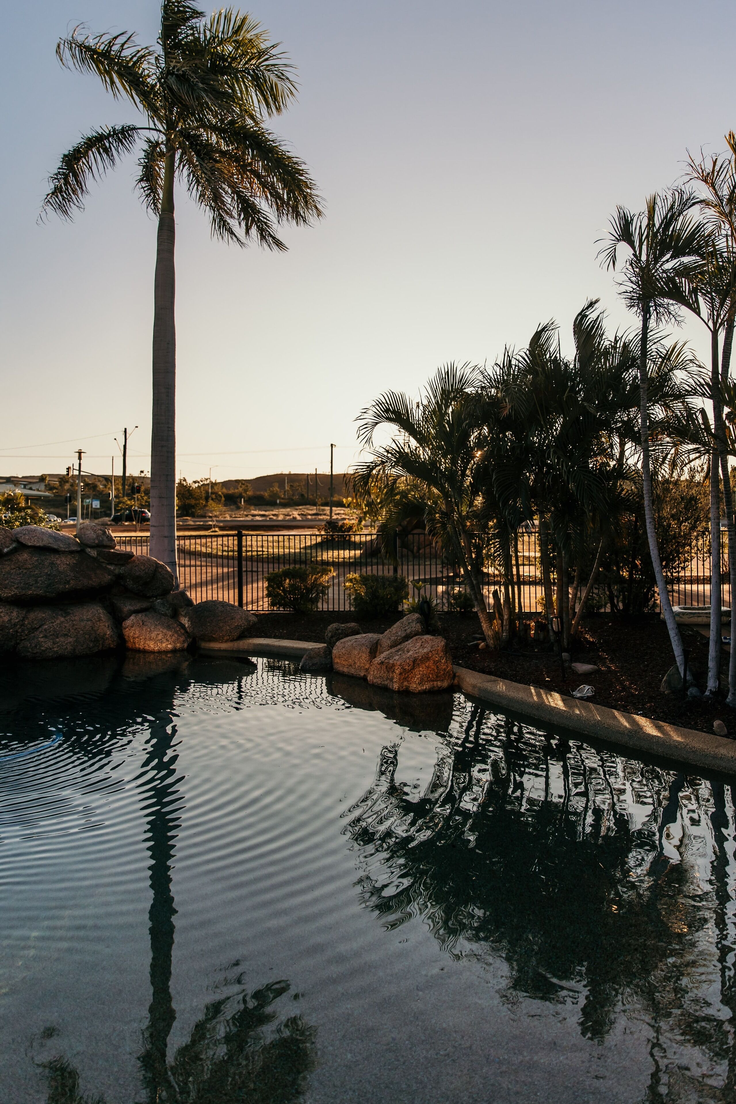 A tranquil outdoor pool area with palm trees, a clear sky, and a distant view of a road and buildings.