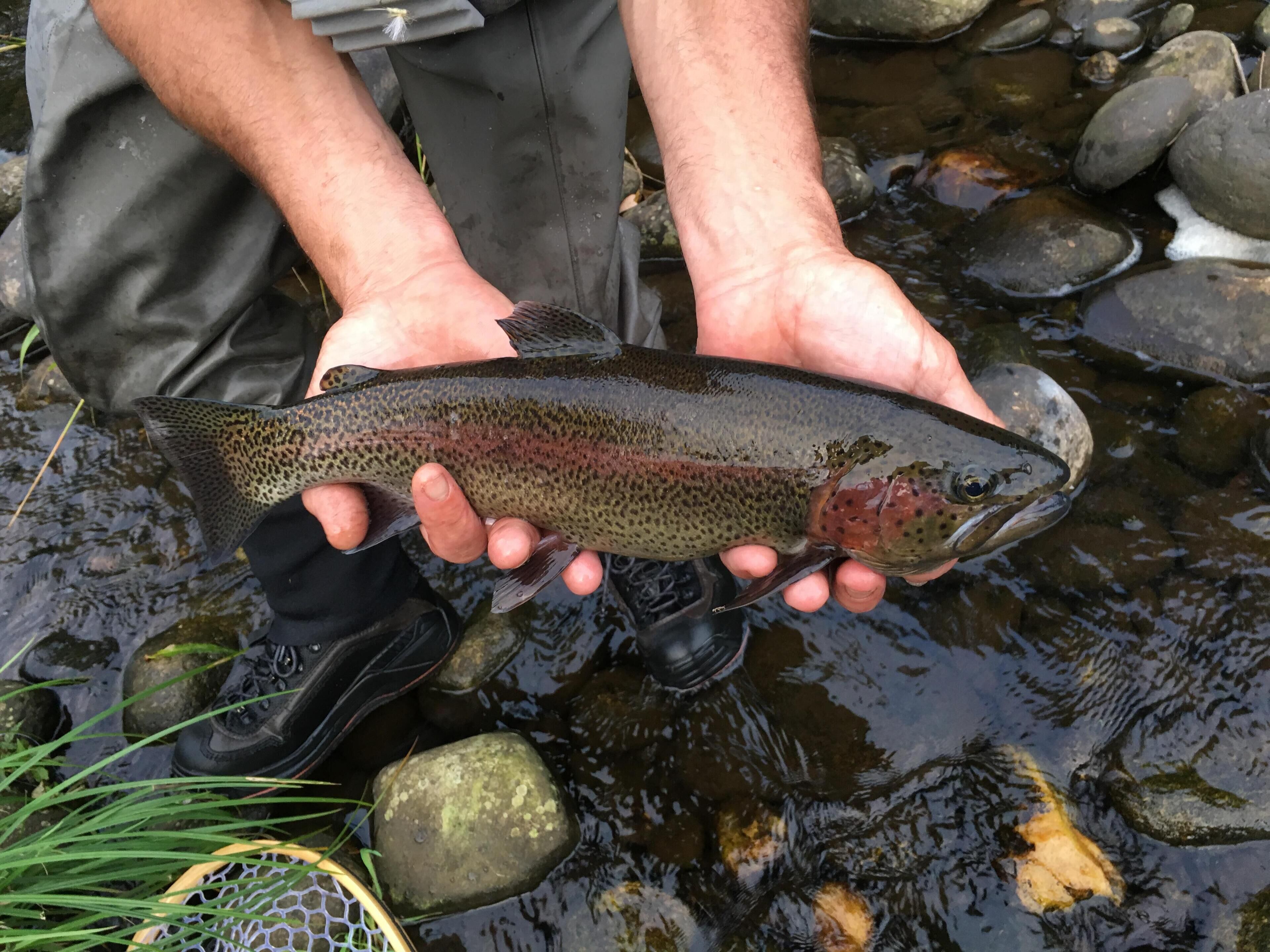 Historic house on Farmington River is an angler’s dream!
