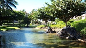 A tranquil outdoor pool area with clear water, surrounded by lush greenery and palm trees. - Great Getaway at Shores at Waikoloa! (Waikoloa)