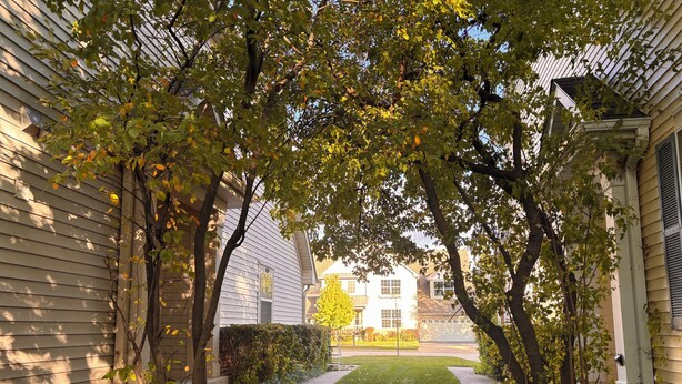 Zona residencial amb cases, gespa i arbres.
