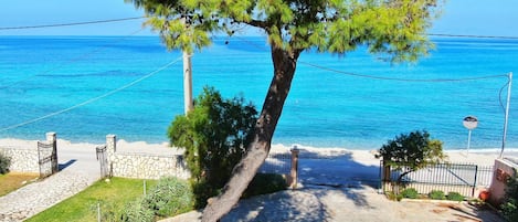 A coastal property with a stone pathway leading to a beach, a tree in the foreground, and a clear view of the sea.