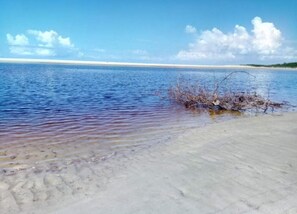 Vlak bij het strand