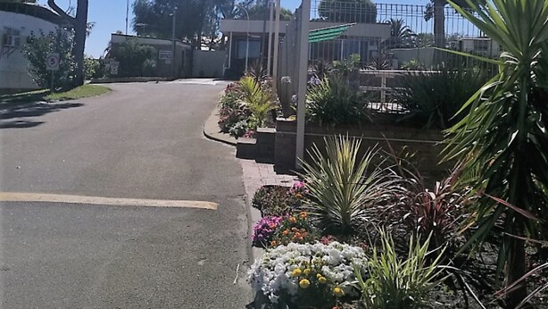 En gata med en trottoar som kantas av färgstarka blomsterrabatter och en klarblå himmel.