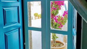 Una puerta azul con varios paneles de vidrio, que da a un patio con macetas y flores.