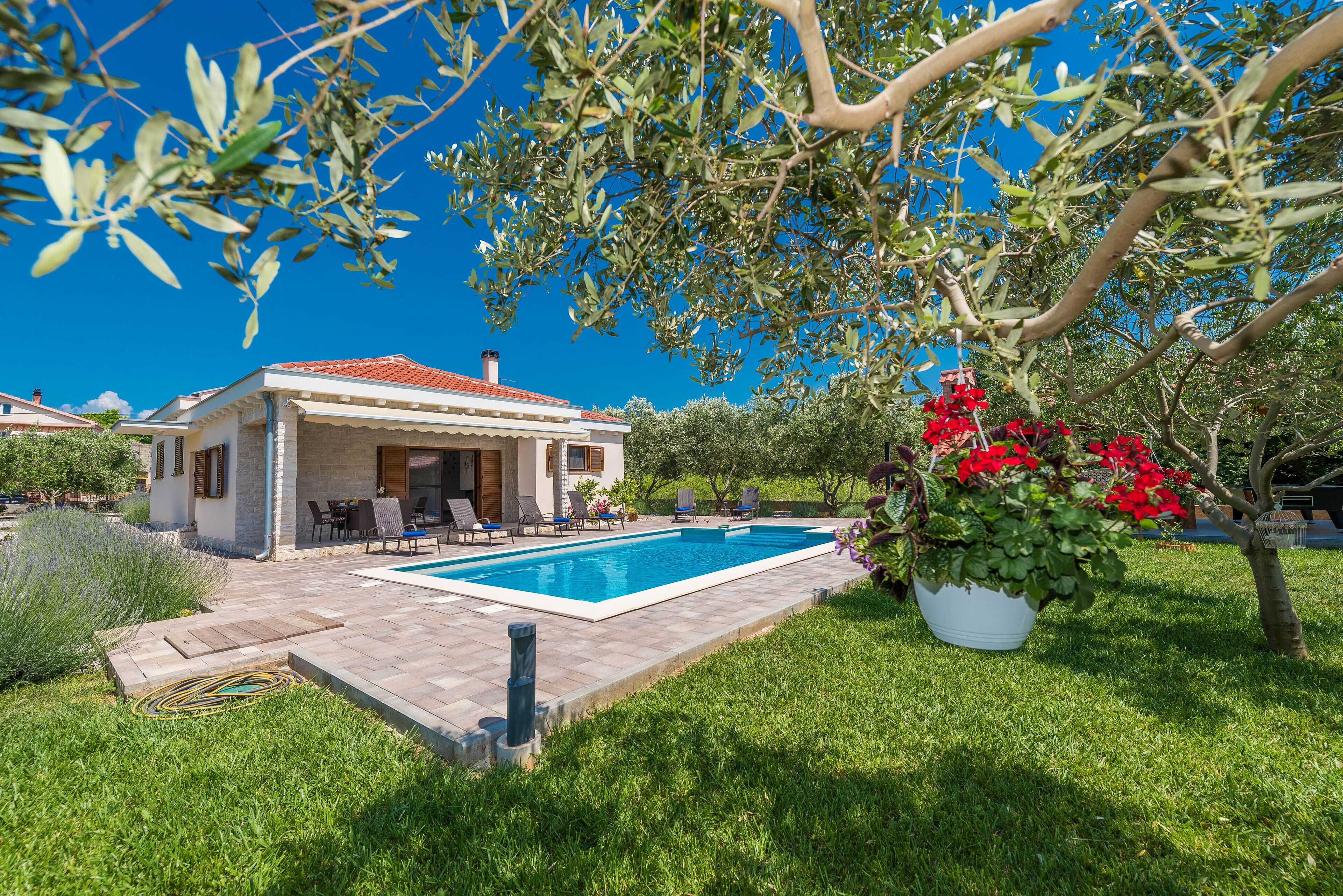 Una casa amb piscina, mobles d'exterior i un jardí ple de flors vermelles.