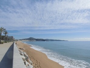 Una carretera costera con playa, palmeras y una colina distante.