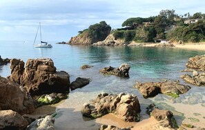 A coastal scene with clear water, rocky shore, and a sailboat.