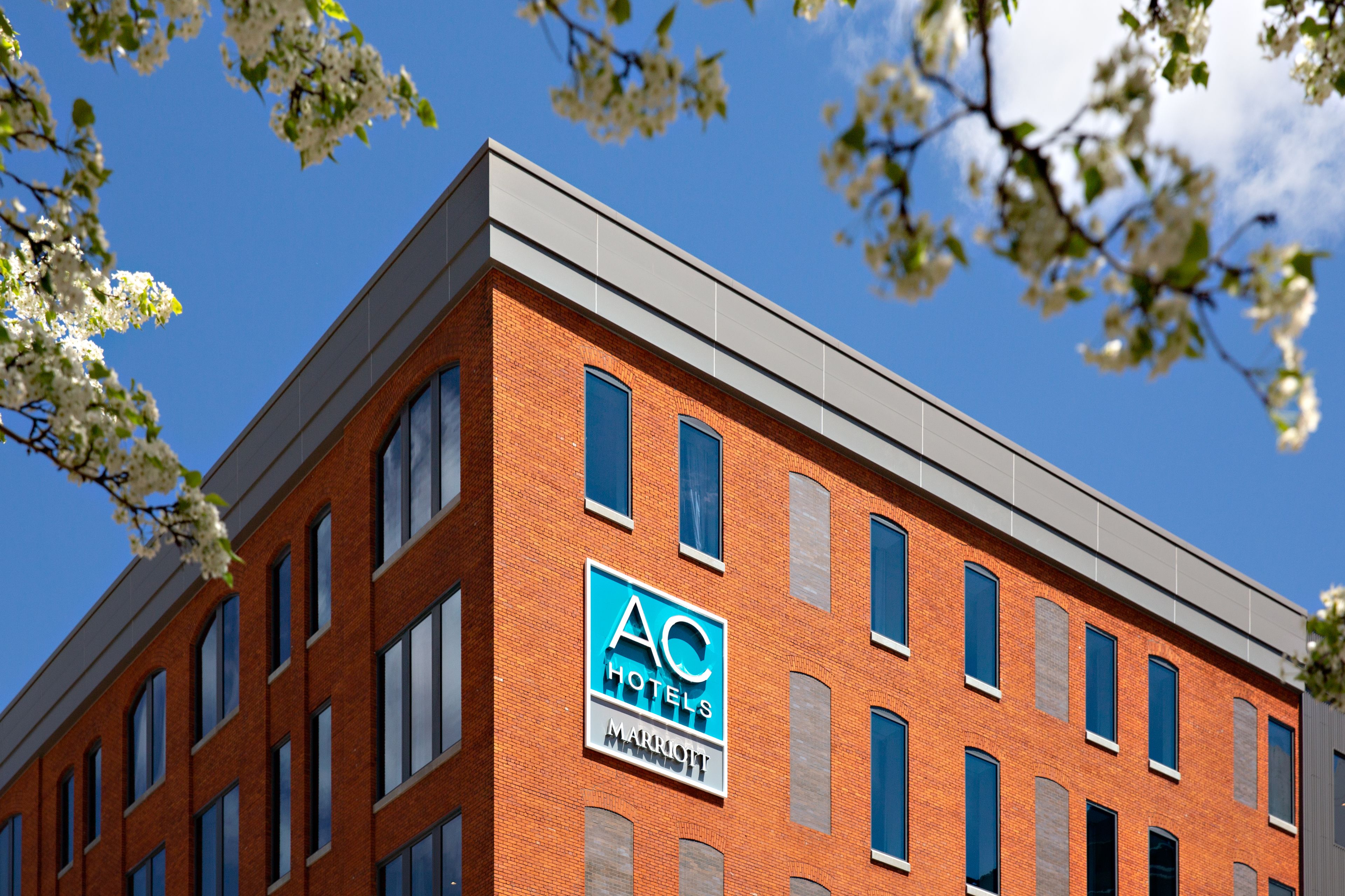 A modern brick building with a clear blue sky and white flowering branches in the foreground.
