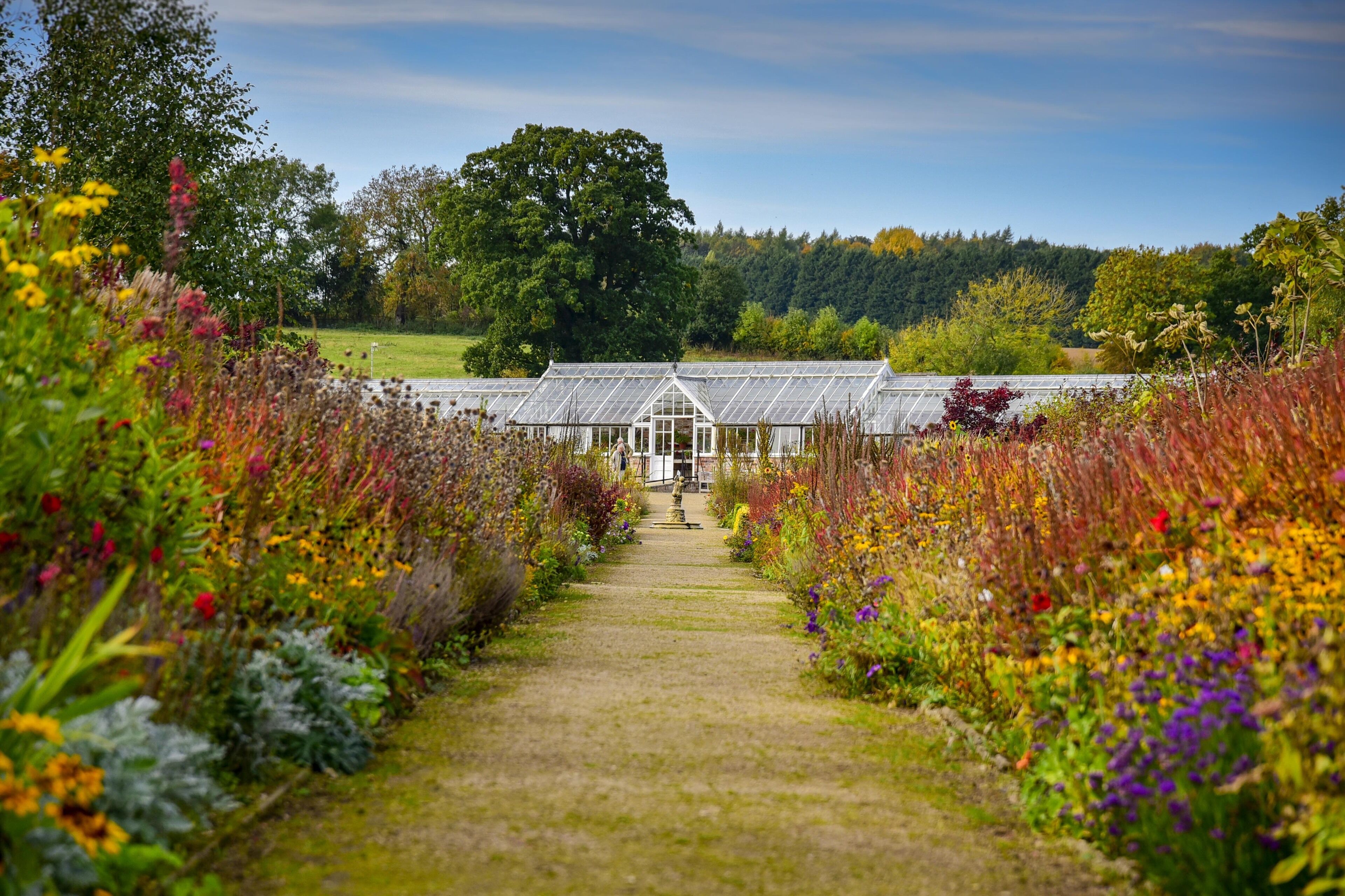 المنطقة المحيطة بالمنشأة