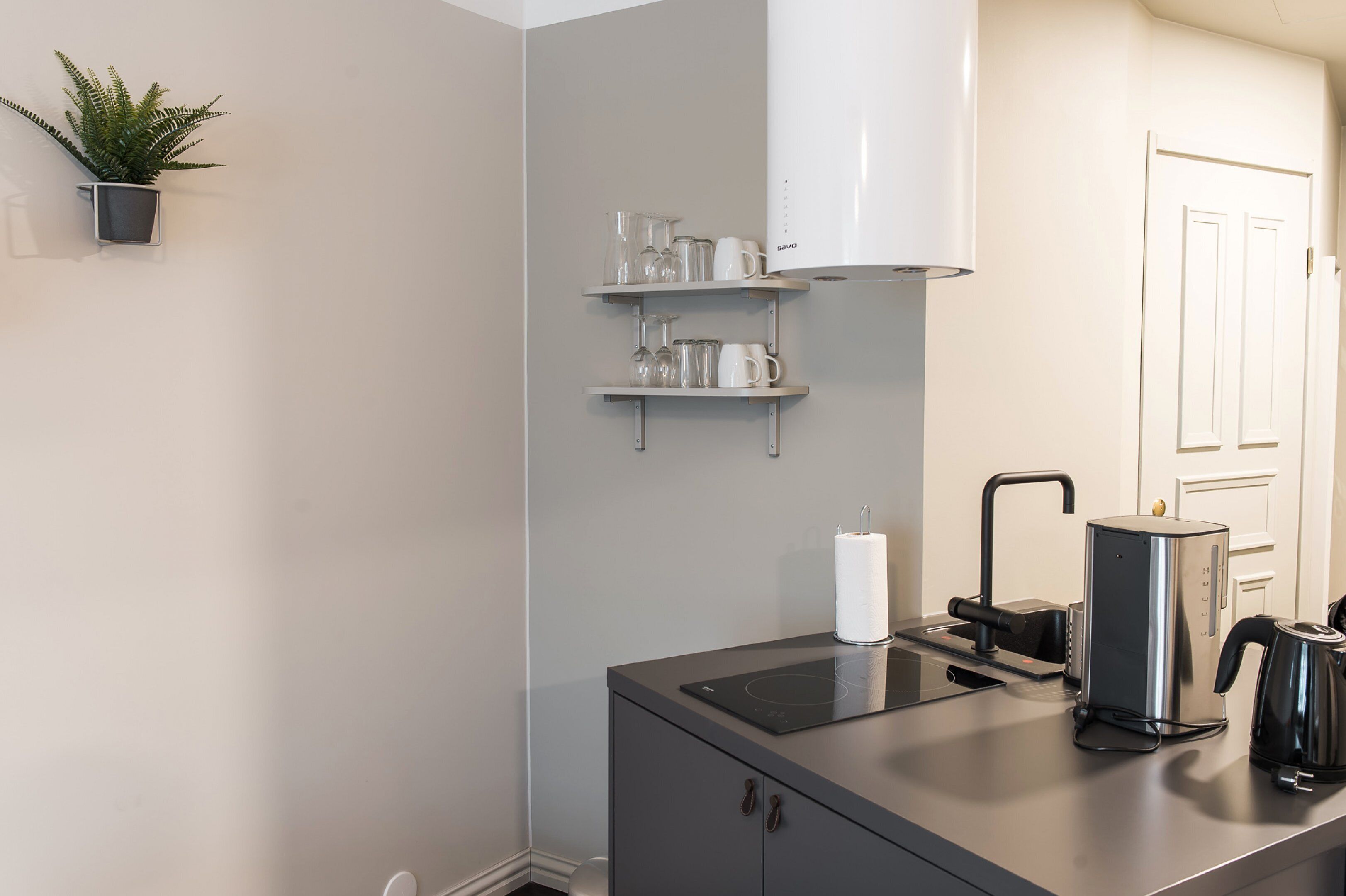 Une cuisine moderne équipée d’une plaque de cuisson à induction intégrée, d’une bouilloire et d’une machine à café. On y trouve des étagères avec de la verrerie et une plante en pot accrochée au mur.