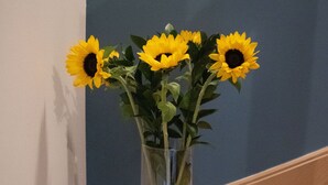 Un jarrón de vidrio transparente con girasoles sobre una escalera de madera frente a una pared azul.