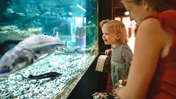 A woman and a child looking at fish in an aquarium.