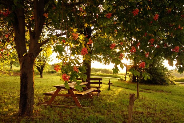 Garden - Cascina Alberta (Vignale Monferrato)