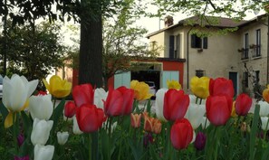 Property grounds - Cascina Alberta (Vignale Monferrato)