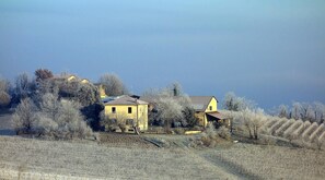 A rural landscape with two yellow buildings, one with a red roof, surrounded by frost-covered trees and fields. - Cascina Alberta (Vignale Monferrato)