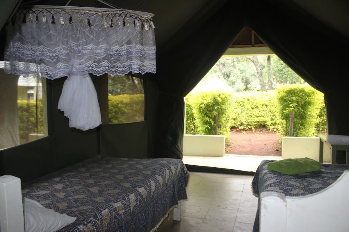Superior Tent, Multiple Beds | In-room safe, free cots/infant beds, free WiFi, bed sheets
