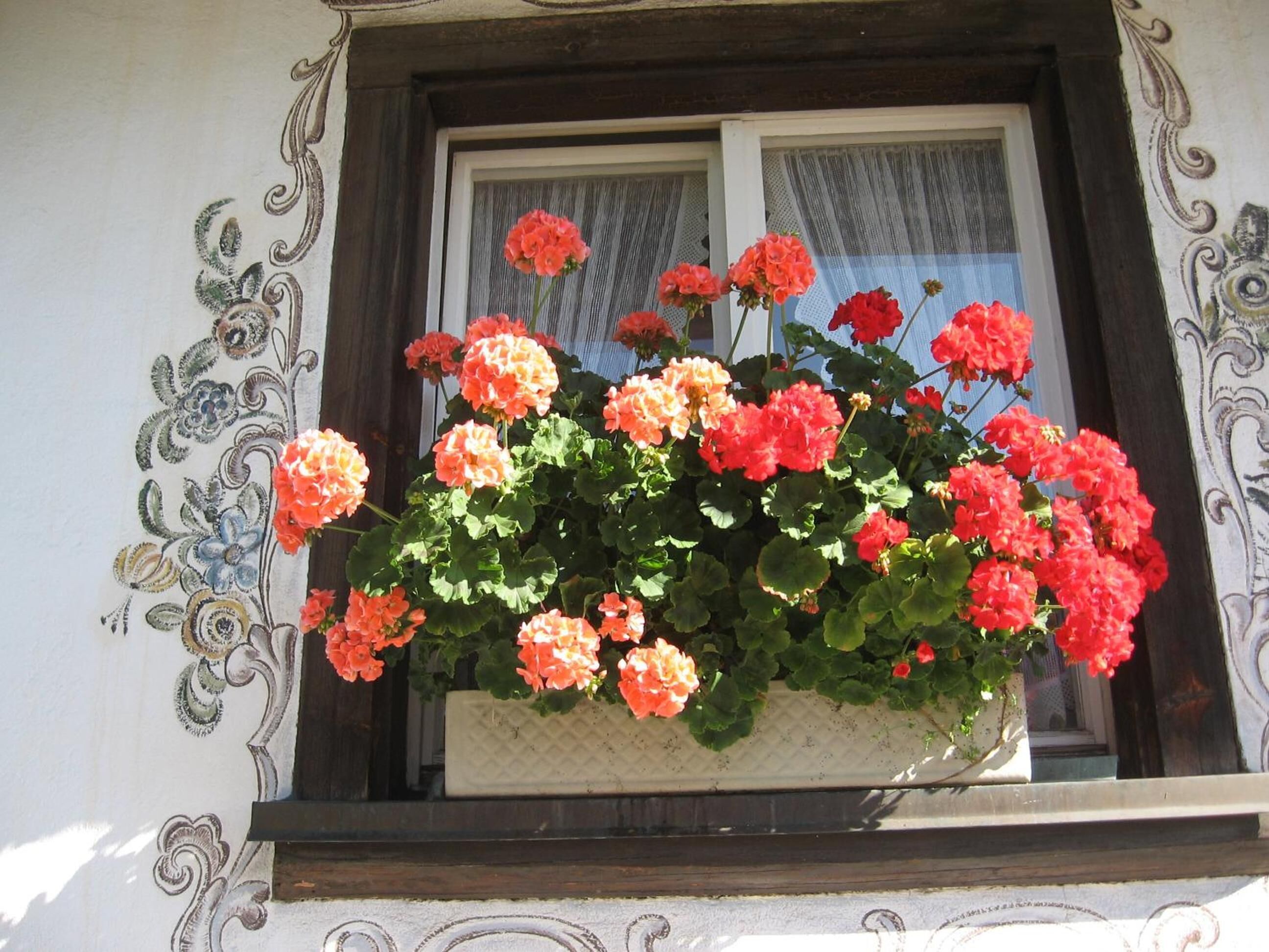 Une jardinière agrémentée de fleurs orange et rouge aux couleurs vives.