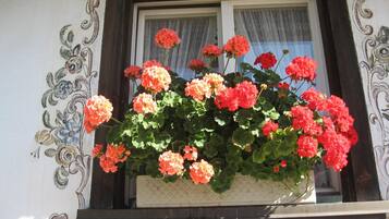 Une jardinière agrémentée de fleurs orange et rouge aux couleurs vives.
