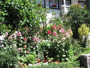 Property grounds - Pension Kaiserhaus (Uehlingen-Birkendorf)